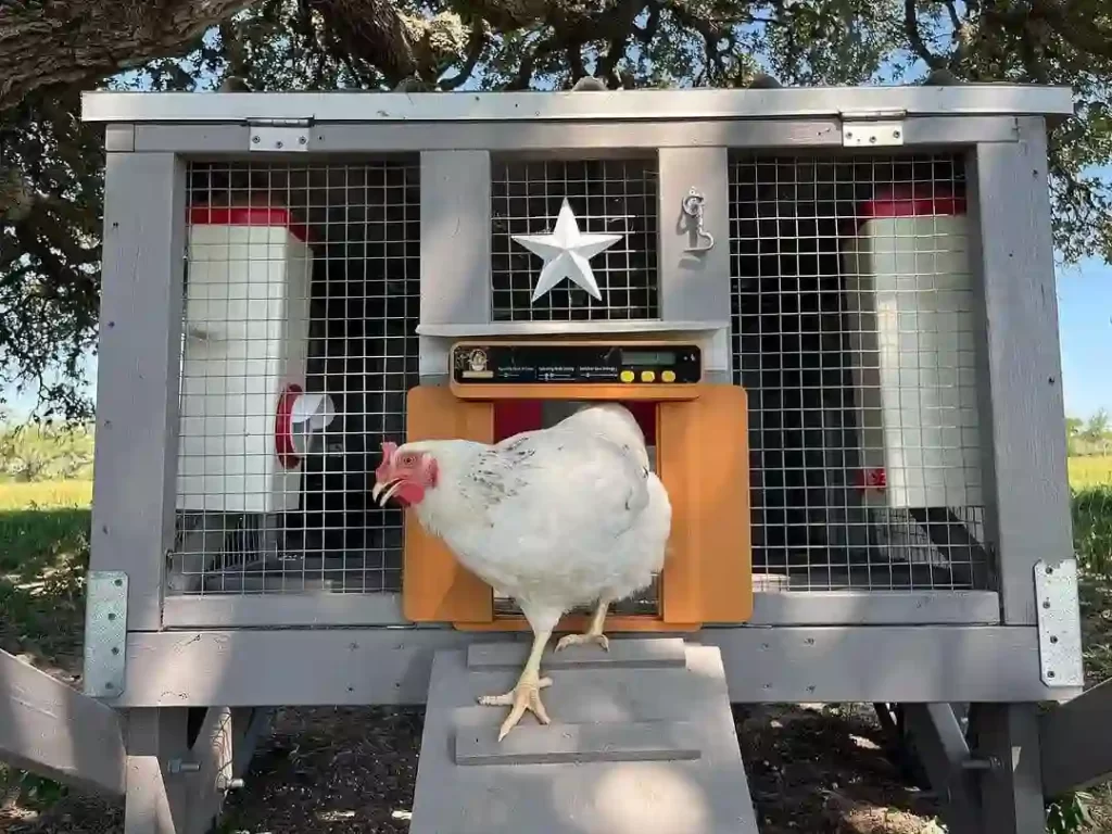 Automatiza Tu Gallinero